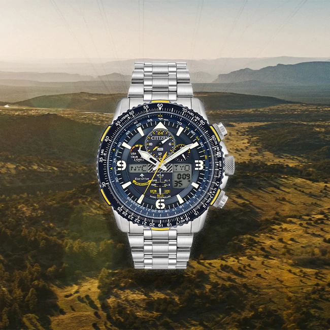 Citizen Promaster Diver